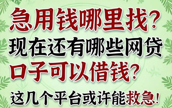 急用钱哪里找？现在还有哪些网贷口子可以借钱？这几个平台或许能救急！