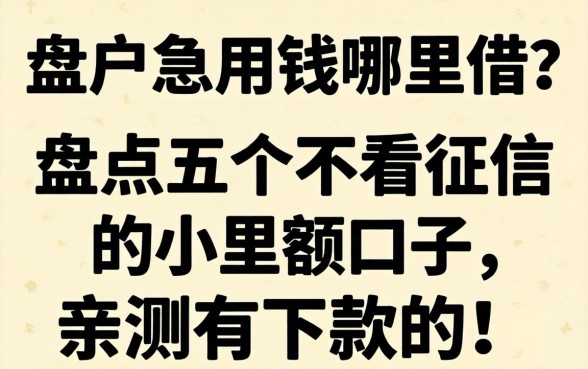 黑户急用钱哪里借？盘点五个不看征信的小额口子，亲测有下款的！