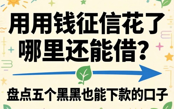 急用钱征信花了哪里还能借？盘点五个黑户也能下款的口子