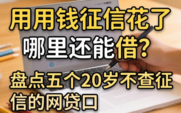 急用钱征信花了哪里还能借?盘点五个20岁不查征信的网贷口子