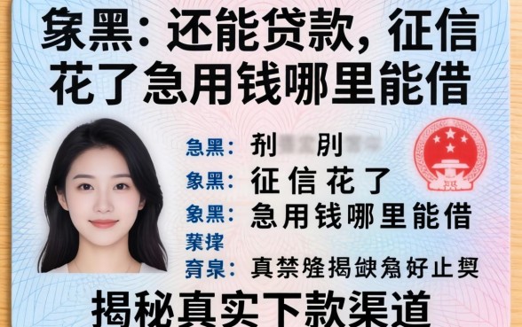 身份证黑户还能贷款吗？征信花了急用钱哪里能借？揭秘真实下款渠道