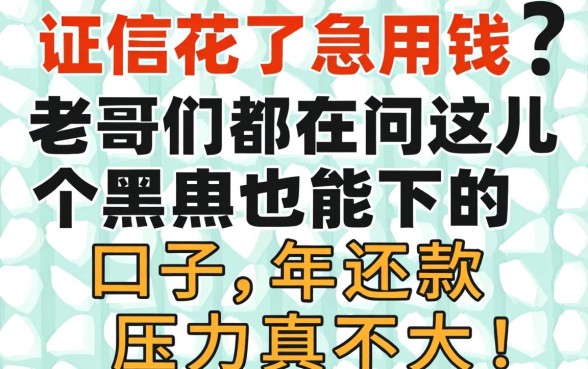 征信花了急用钱？老哥们都在问这几个黑户也能下的口子，2026年还款压力真不大！