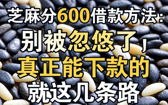 芝麻分600借款方法：别被忽悠了，真正能下款的就这几条路