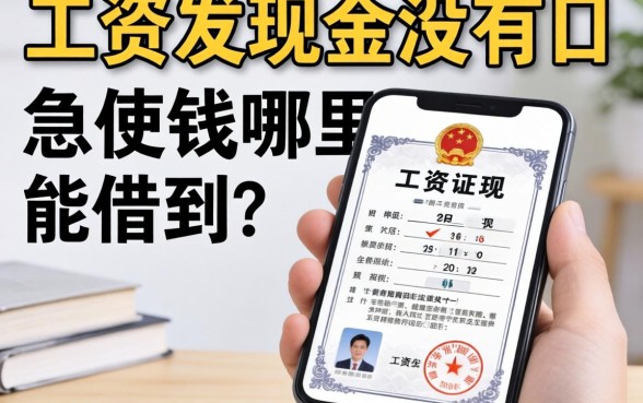 工资发现金没有工作证明，急用钱哪里能借到？求推荐不看工作的口子！