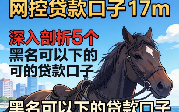 无风控贷款口子17m,深入剖析5个黑户可以下的贷款口子