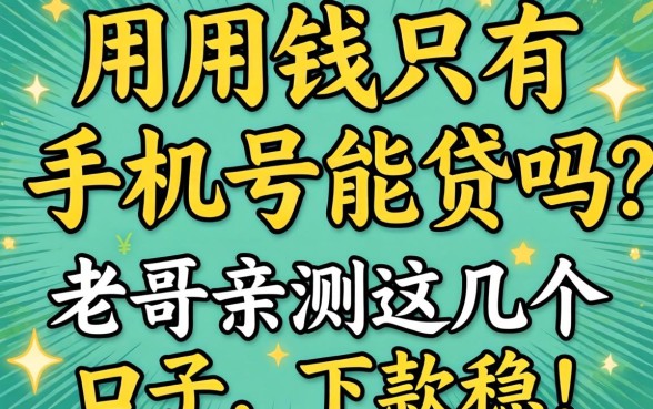 急用钱只有手机号能贷吗？老哥亲测这几个口子，下款稳！