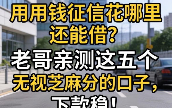 急用钱征信花哪里还能借？老哥亲测这五个无视芝麻分的口子，下款稳！