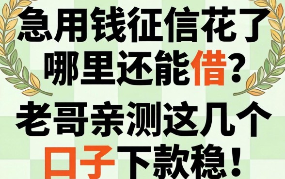急用钱征信花了哪里还能借？老哥亲测这几个口子下款稳！