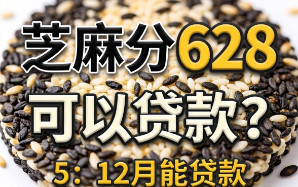 芝麻分628可以贷款吗，概括5个12月能贷款的口子