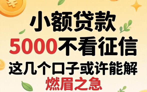 揭秘小额贷款5000不看征信，这几个口子或许能解燃眉之急