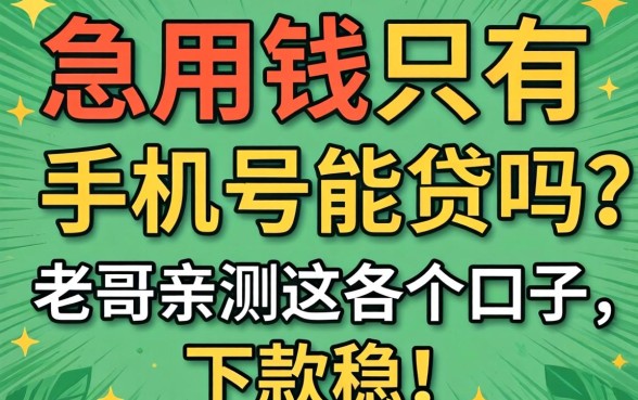 急用钱只有手机号能贷吗？老哥亲测这几个口子，下款稳！