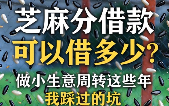 芝麻分借款可以借多少？做小生意周转这些年我踩过的坑