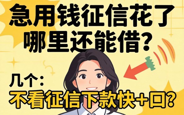 急用钱征信花了哪里还能借？分享几个不看征信下款快的口子