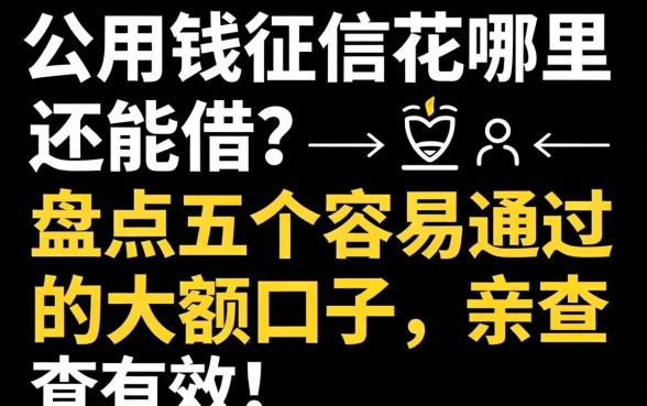 急用钱征信花哪里还能借?盘点五个容易通过的大额口子,亲测有效!