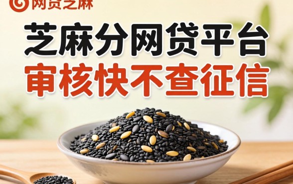 揭秘几个纯芝麻分的网贷平台，审核快不查征信