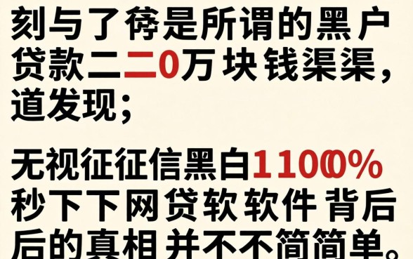 我试了所谓的黑户贷款二十万块钱渠道，发现无视征信黑白100%秒下网贷软件背后的真相并不简单