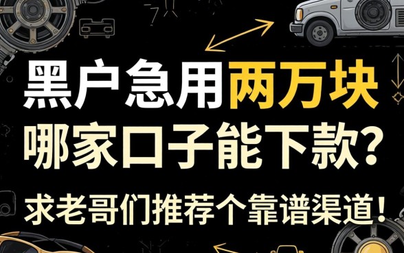 黑户急用两万块,哪家口子能下款?求老哥们推荐个靠谱渠道!