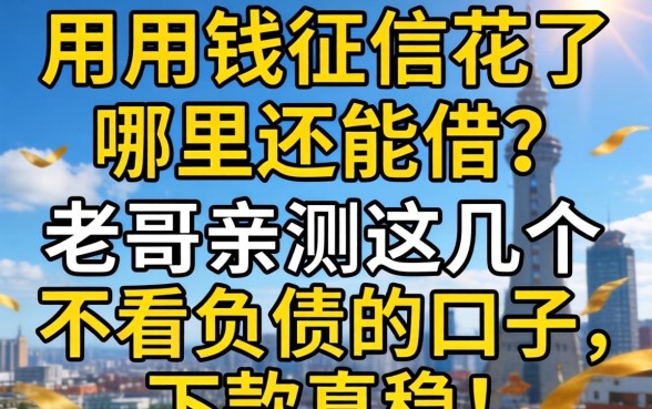 急用钱征信花了哪里还能借？老哥亲测这几个不看负债的口子，下款真稳！