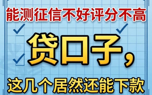 实测征信不好评分不高能贷口子，这几个居然还能下款