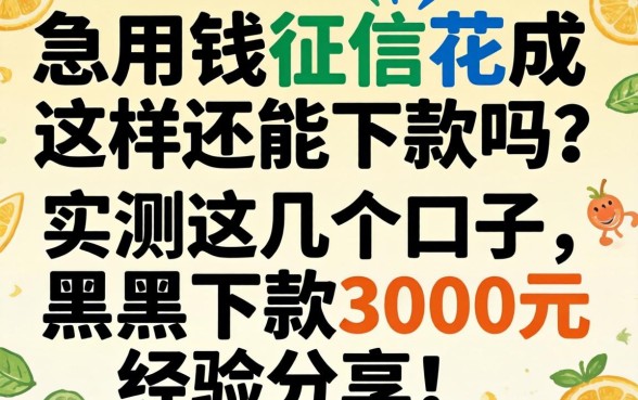 急用钱征信花成这样还能下款吗？实测这几个口子，黑户下款3000元经验分享！