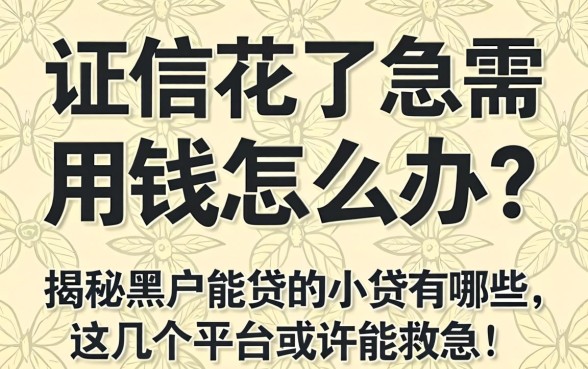 征信花了急需用钱怎么办？揭秘黑户能贷的小贷有哪些，这几个平台或许能救急！