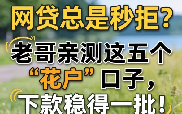 申请网贷总是秒拒？老哥亲测这五个“花户”口子，下款稳得一批！