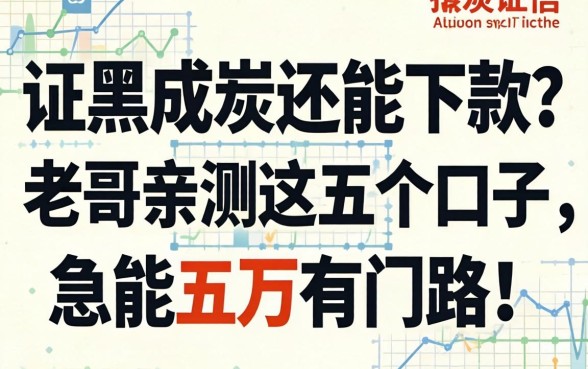 征信黑成炭还能下款？老哥亲测这五个口子，急用五万有门路！