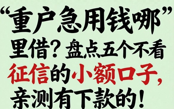 黑户急用钱哪里借？盘点五个不看征信的小额口子，亲测有下款的！
