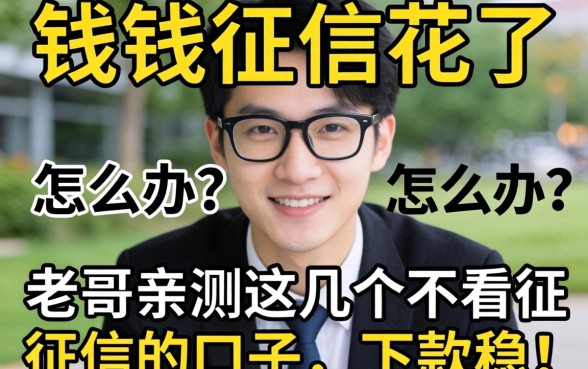 急需用钱征信花了怎么办?老哥亲测这几个不看征信的口子,下款稳!