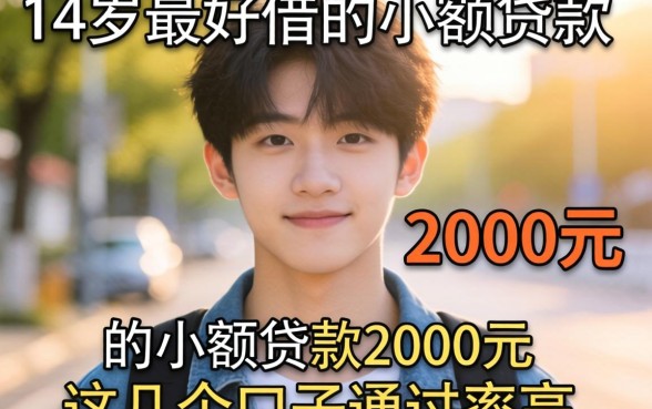 揭秘18岁最好借的小额贷款2000元，这几个口子通过率颇高