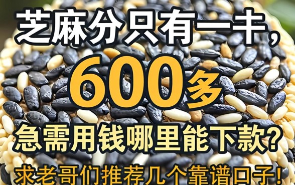 芝麻分只有600多，急需用钱哪里能下款？求老哥们推荐几个靠谱口子！