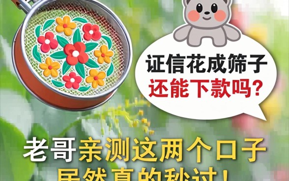 征信花成筛子还能下款吗？老哥亲测这几个口子居然真的秒过！