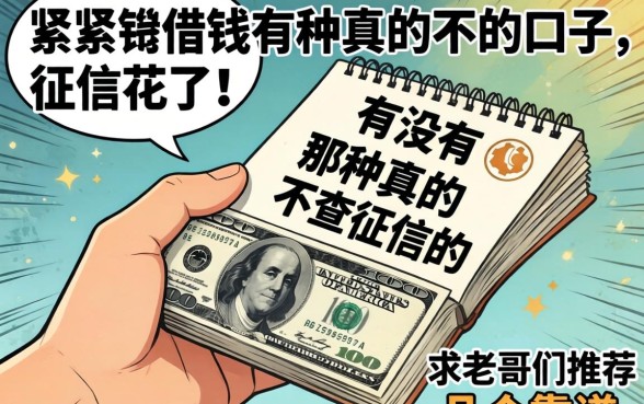 手头紧想借钱但征信花了,有没有那种真的不查征信的口子?求老哥们推荐几个靠谱的!