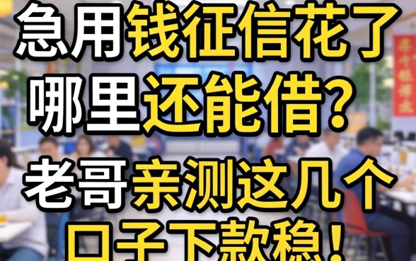 急用钱征信花了哪里还能借？老哥亲测这几个口子下款稳！