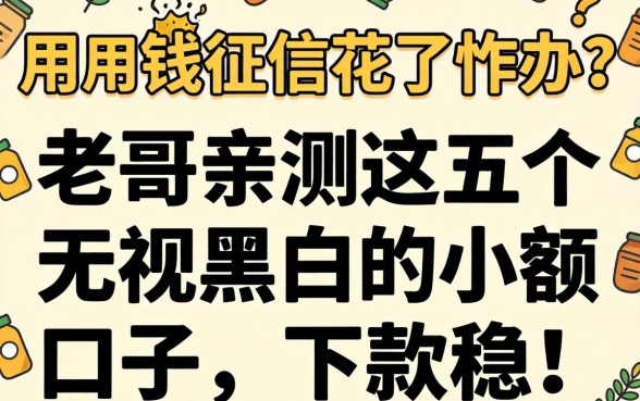 急用钱征信花了咋办？老哥亲测这五个无视黑白的小额口子，下款稳！