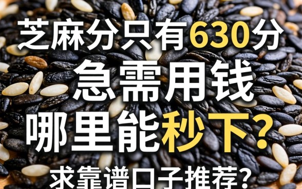 芝麻分只有630分，急需用钱哪里能秒下？求靠谱口子推荐！