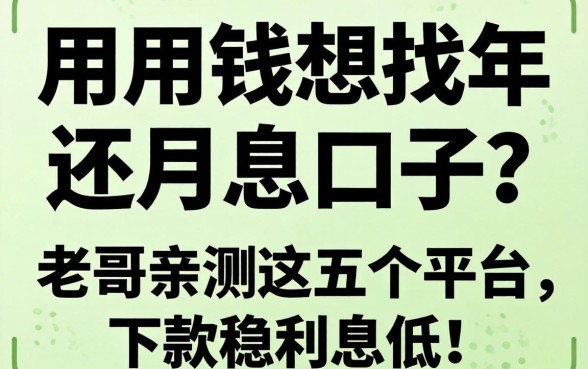 急用钱想找年还月息的口子？老哥亲测这五个平台，下款稳利息低！