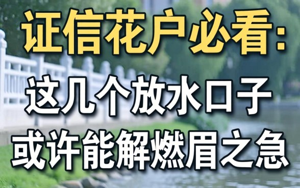 征信花户必看:这几个放水口子或许能解燃眉之急