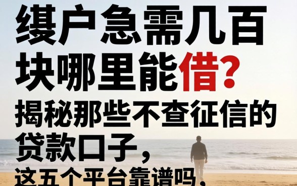 黑户急需几百块哪里能借？揭秘那些不查征信的贷款口子，这五个平台靠谱吗？