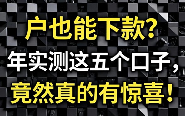 黑户也能下款？2026年实测这五个口子，竟然真的有惊喜！