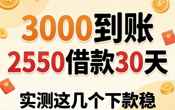 揭秘3000到账2550借款30天2026,实测这几个下款稳
