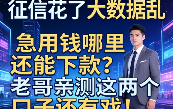 征信花了大数据乱，急用钱哪里还能下款？老哥亲测这几个口子还有戏！