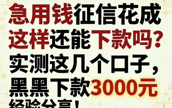 急用钱征信花成这样还能下款吗？实测这几个口子，黑户下款3000元经验分享！