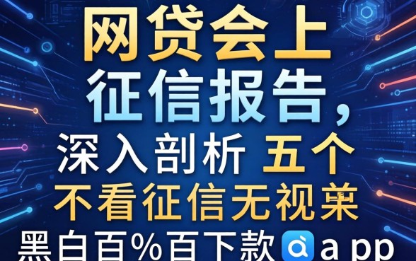 网贷会上征信报告，深入剖析五个不看征信无视黑白百分百下款app