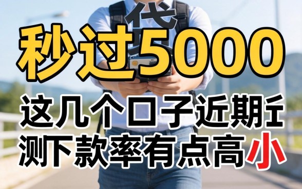 实测秒过5000的小贷，这几个口子近期下款率有点高