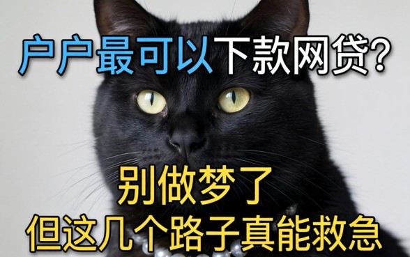 黑户最可以下款的网贷？别做梦了，但这几个路子真能救急
