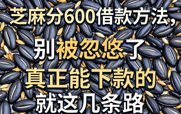 芝麻分600借款方法：别被忽悠了，真正能下款的就这几条路