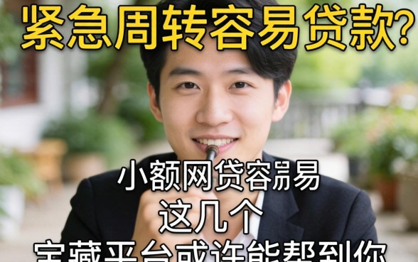手头紧急需周转？哪个小额网贷容易贷款的？这几个宝藏平台或许能帮到你