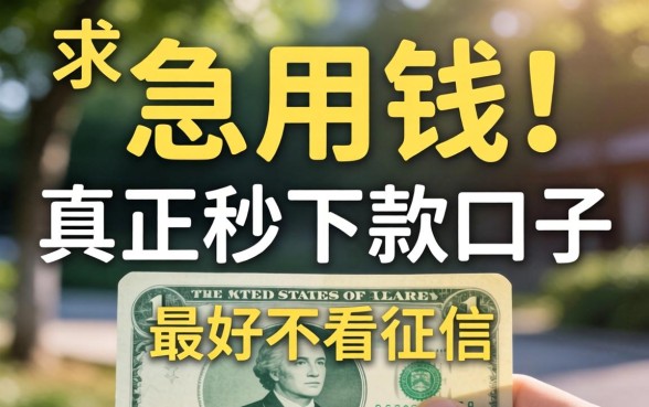 急用钱！求推荐个真正秒下款的口子，最好不看征信那种！