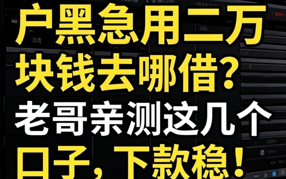 黑户急用二万块钱去哪借？老哥亲测这几个口子，下款稳！